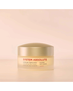 Annemarie Börlind SYSTEM ABSOLUTE Smoothing Day Cream 50ml