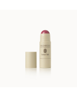 Vagheggi Contour Stick N. 50 Blush - 6 g